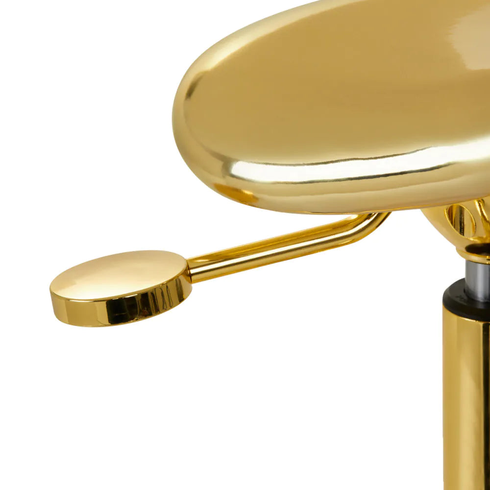 Banco de Cabeleireiro Fine Gold Dourado | Banco Profissional Ergonómico para Salão